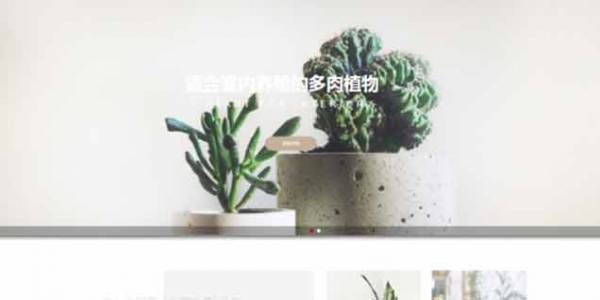 如何開發(fā)公司網(wǎng)站制作Web 前端？