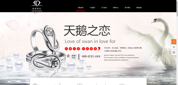 企業(yè)網(wǎng)站建設(shè)，視頻網(wǎng)站運(yùn)營(yíng)模式類別