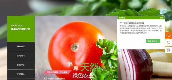 公司網(wǎng)站制作，秩序與靈動并存的網(wǎng)頁設計