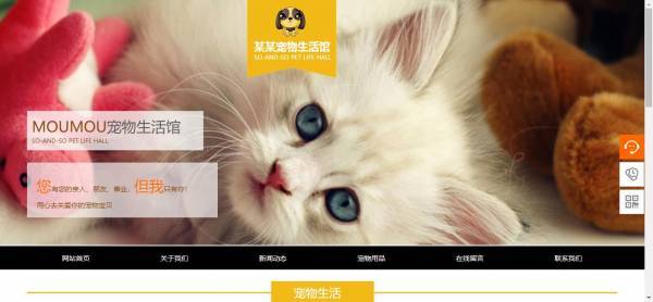 公司網(wǎng)站制作，云端訪問利用功能