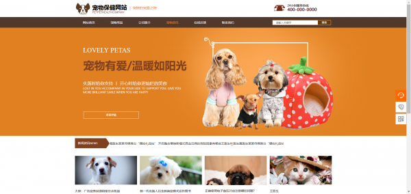 公司網(wǎng)站制作，簡化網(wǎng)頁的操作界面