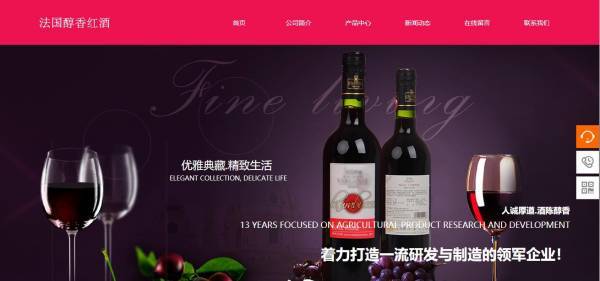 企業(yè)網(wǎng)站建設，下載網(wǎng)站的初步發(fā)展